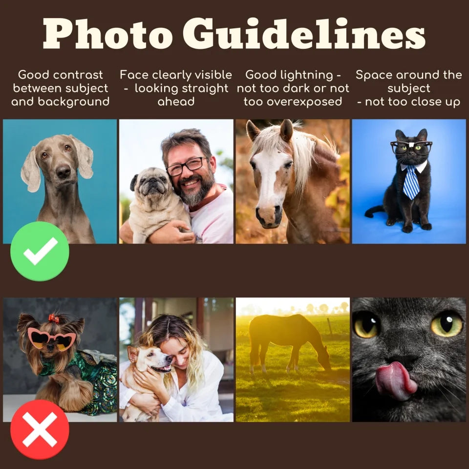 personalized-pet-photo-guidelines