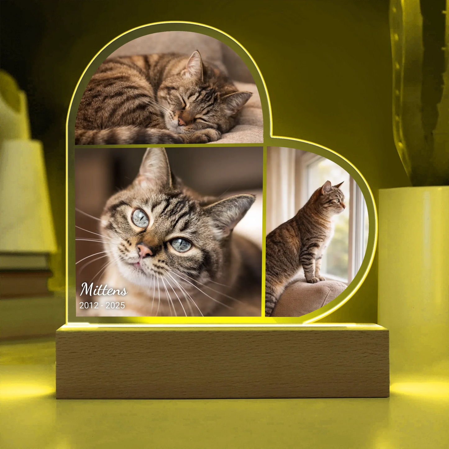 Acrylic Heart LED 10