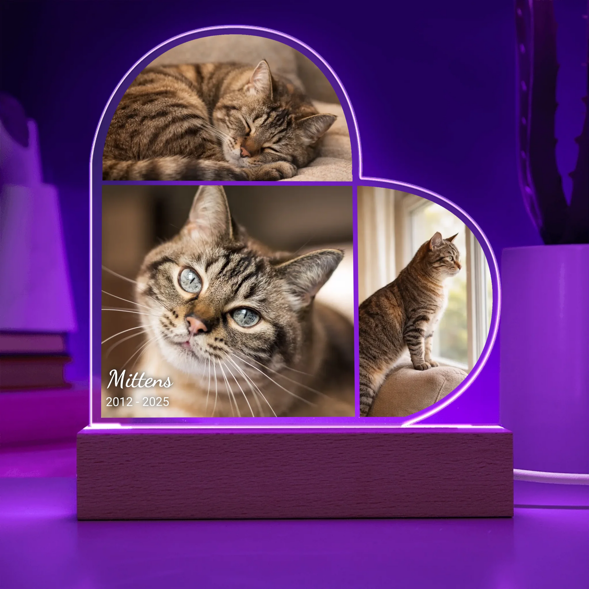 Acrylic Heart LED 11