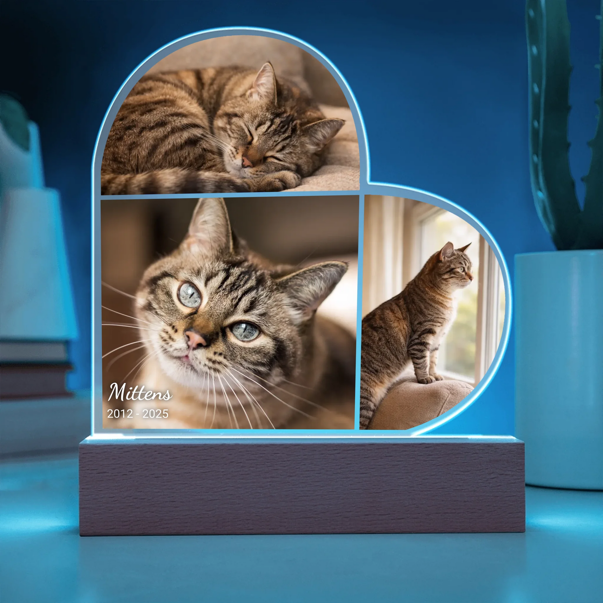 Acrylic Heart LED 13