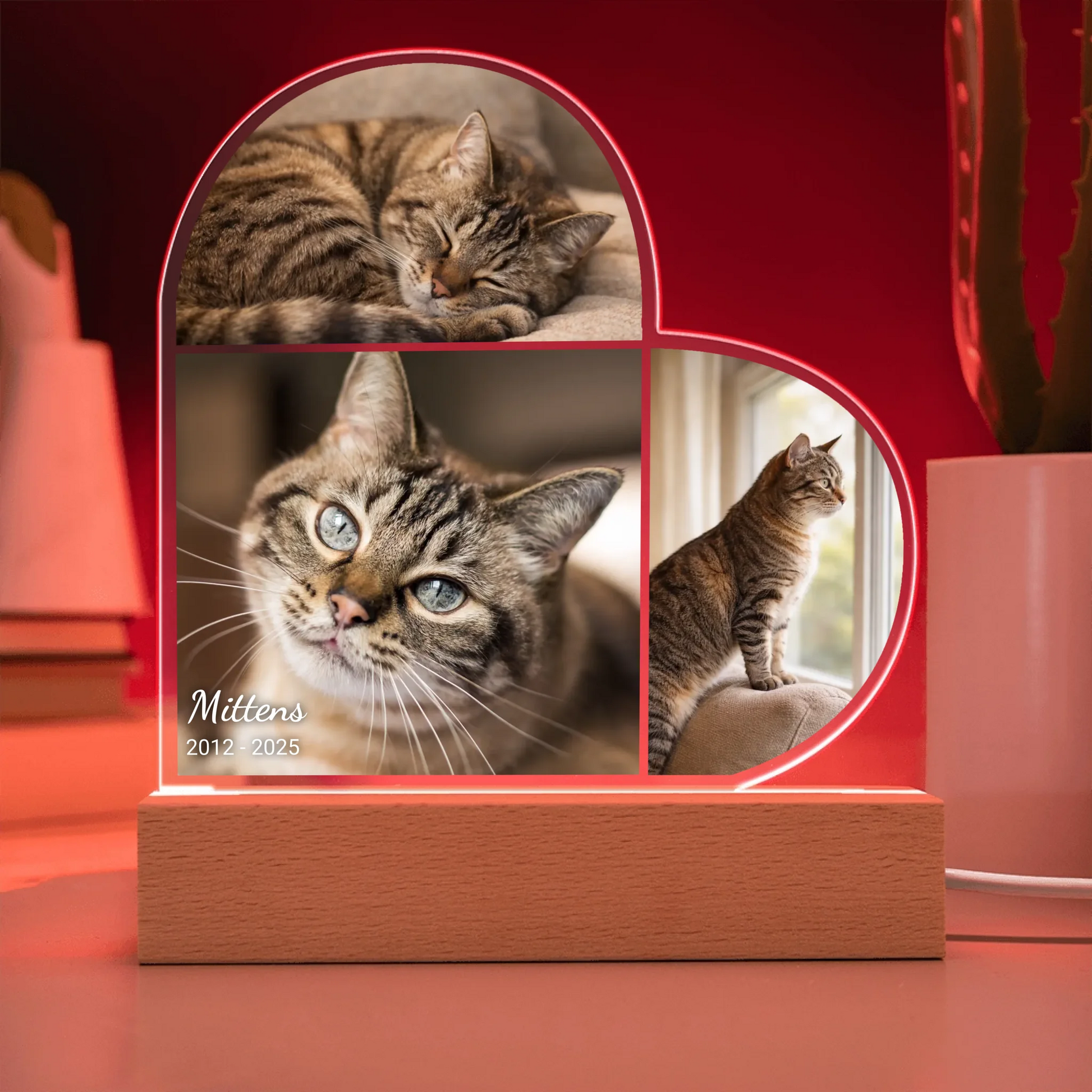 Acrylic Heart LED 12