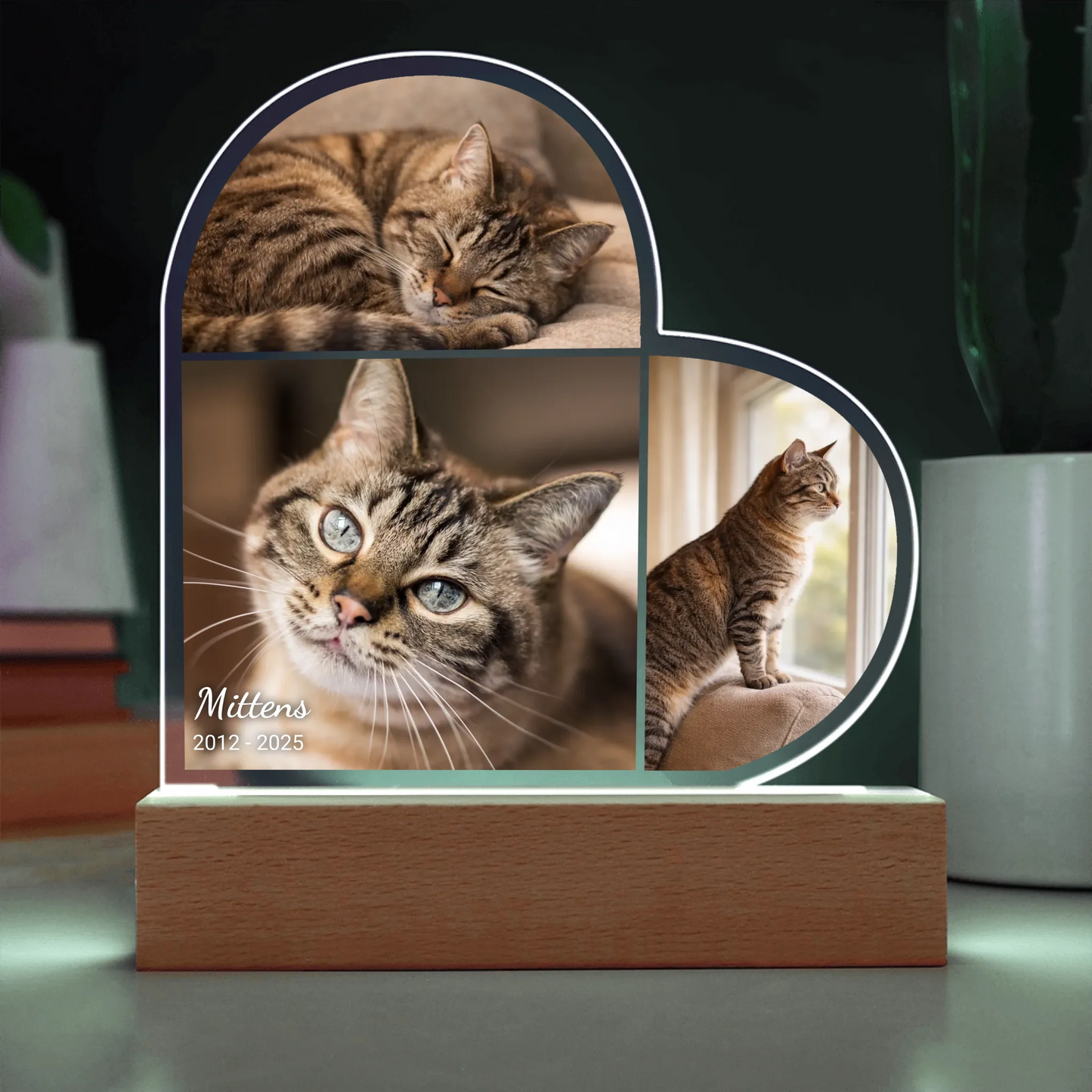 Acrylic Heart LED 14