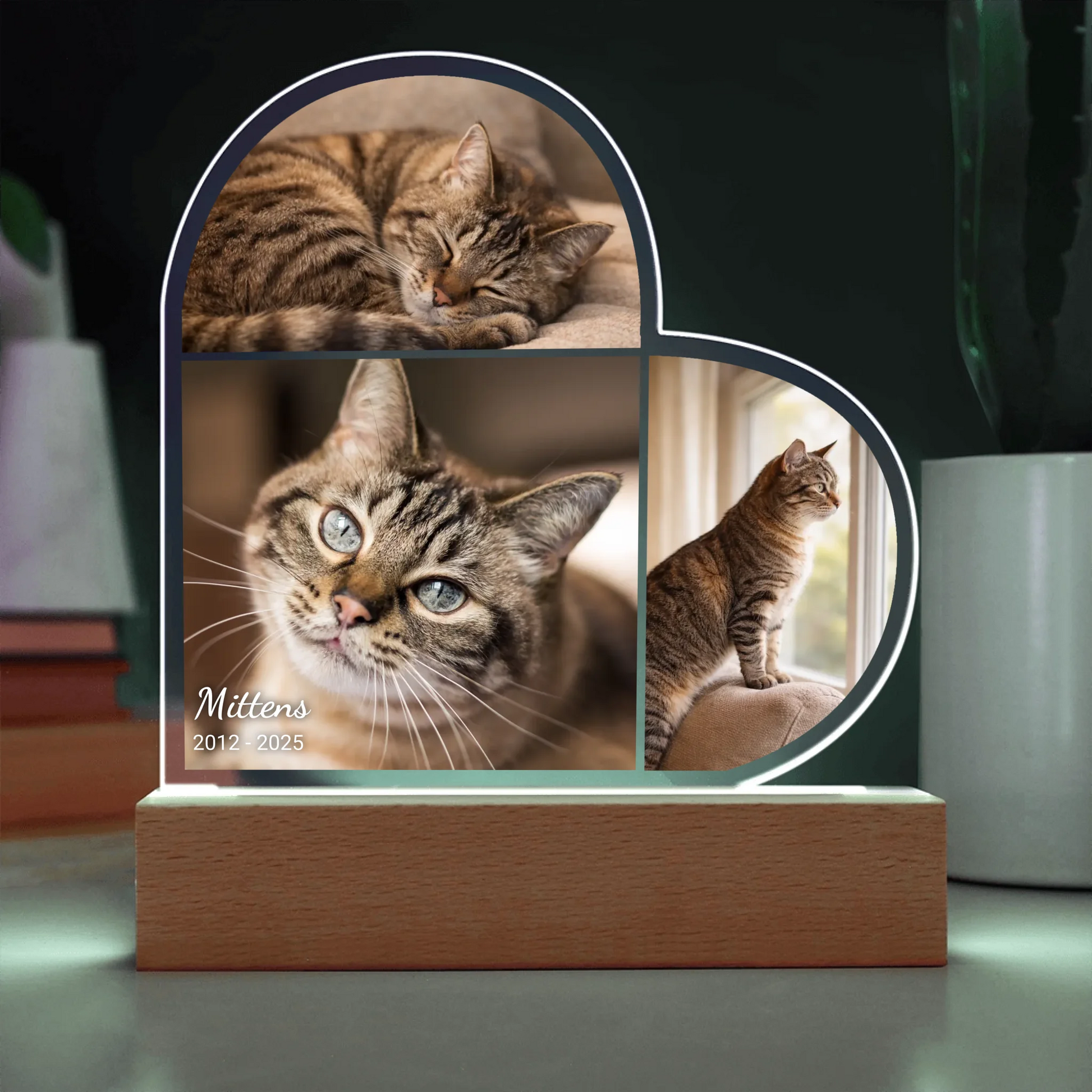 Acrylic Heart LED 14