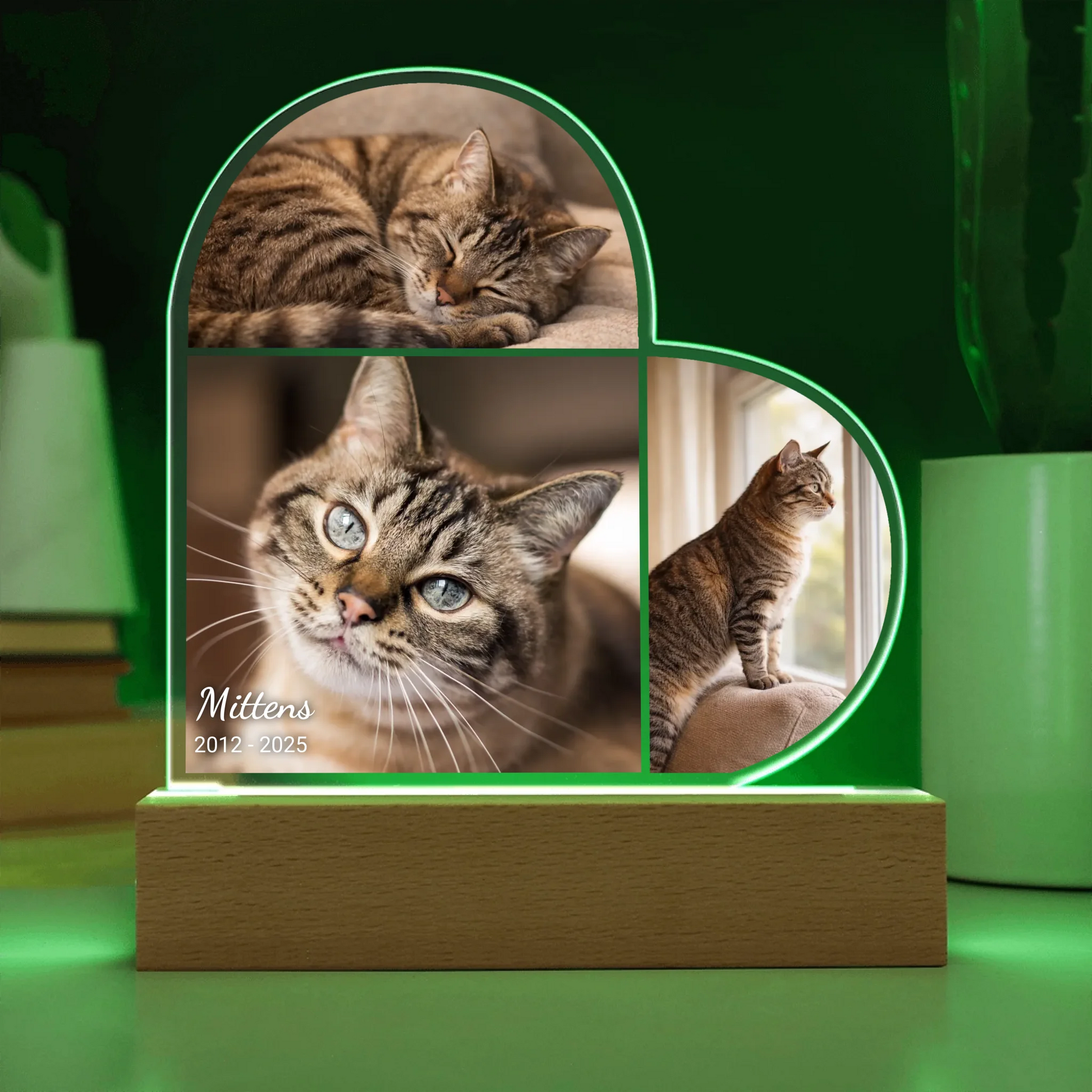 Acrylic Heart LED 10